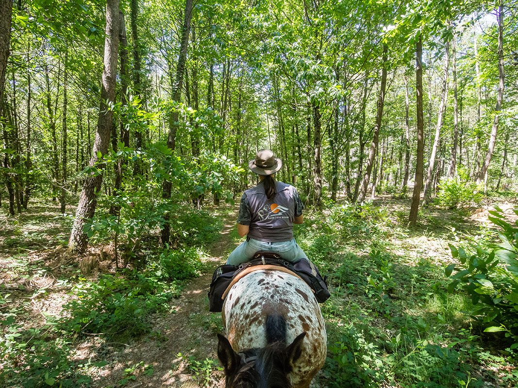 À cheval dans la Sarthe